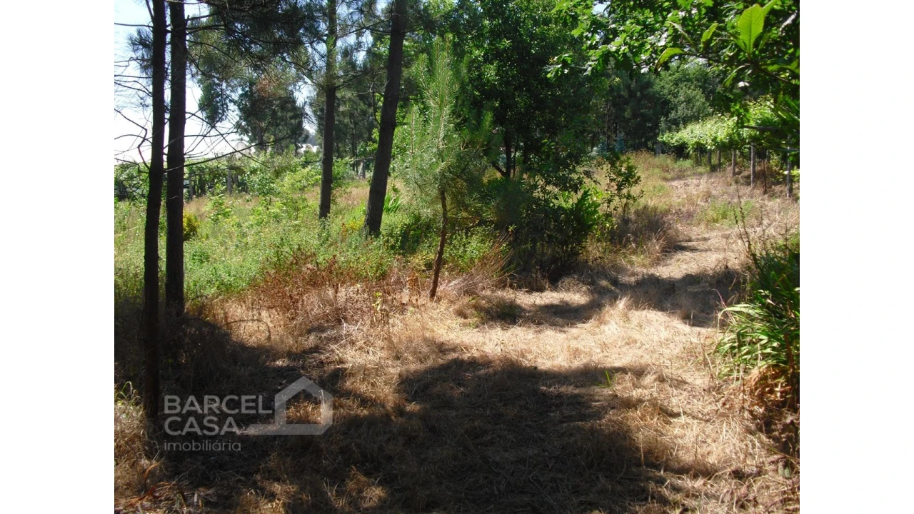 Terreno para Venda em Perelhal Foto 13