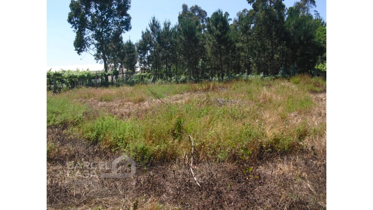 Terreno para Venda em Perelhal Foto 14