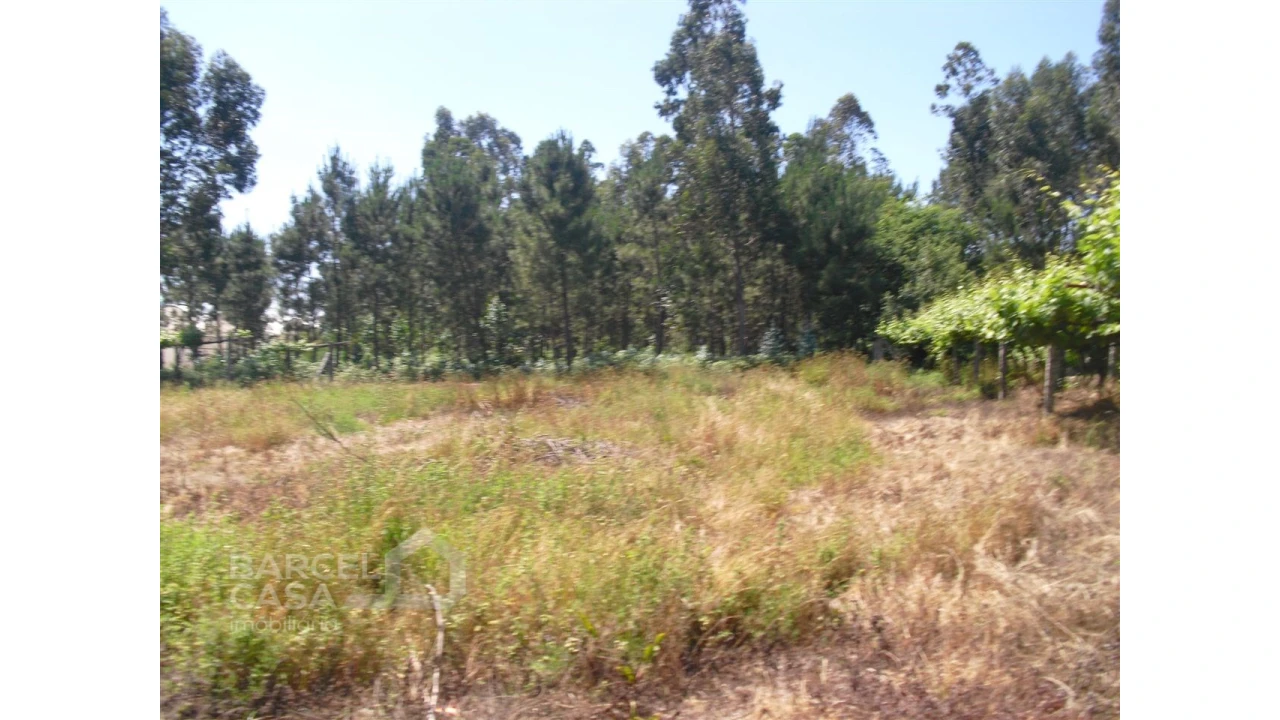Terreno para Venda em Perelhal Foto 16