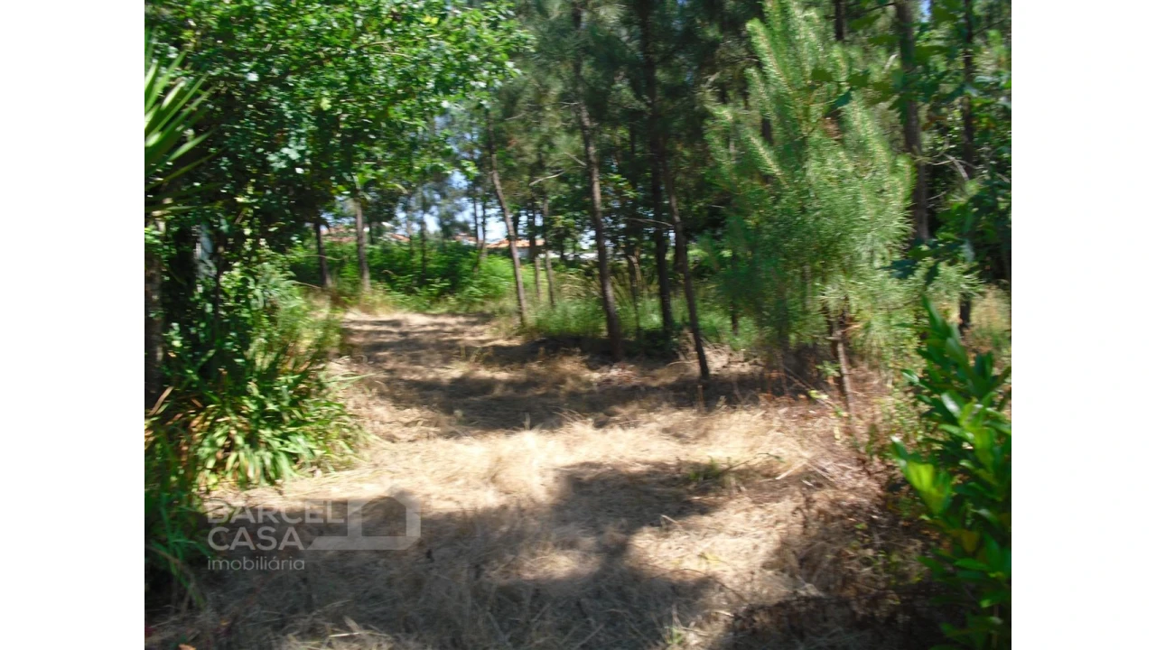 Terreno para Venda em Perelhal Foto 18