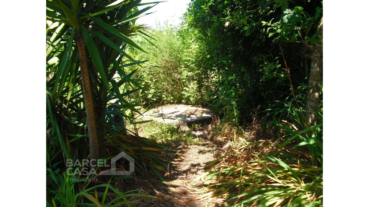 Terreno para Venda em Perelhal Foto 19