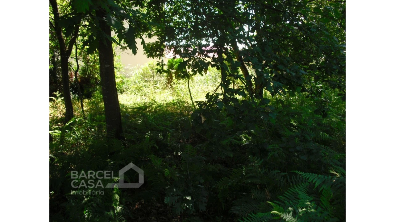 Terreno para Venda em Perelhal Foto 20