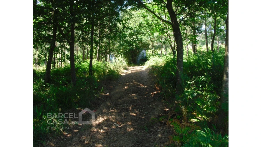 Terreno para Venda em Perelhal Foto 5