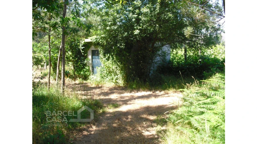 Terreno para Venda em Perelhal Foto 7