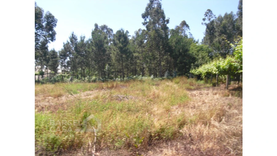 Terreno para Venda em Perelhal Foto 16