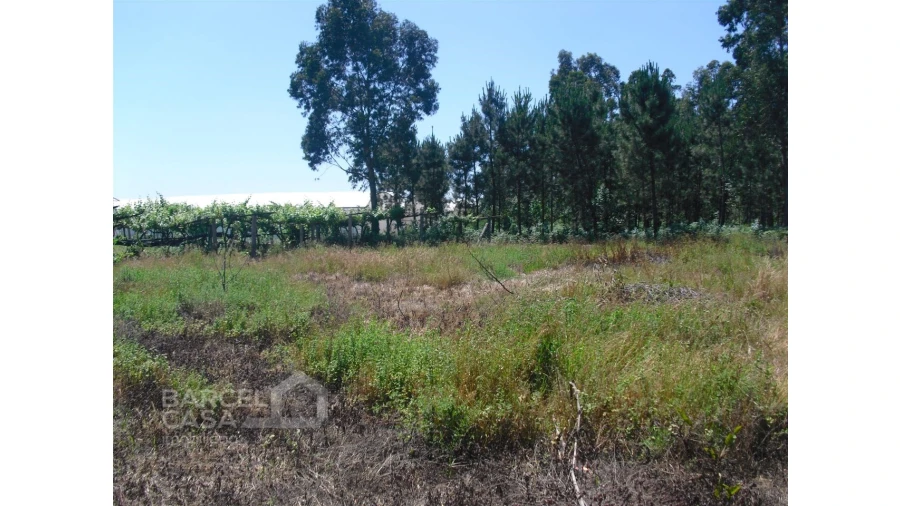 Terreno para Venda em Perelhal Foto 17