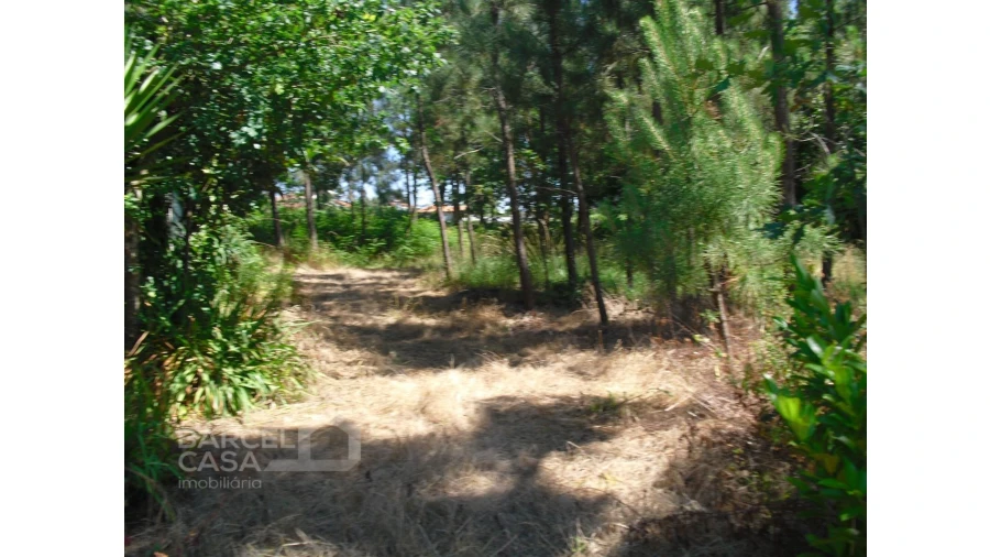 Terreno para Venda em Perelhal Foto 18