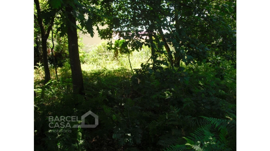 Terreno para Venda em Perelhal Foto 20