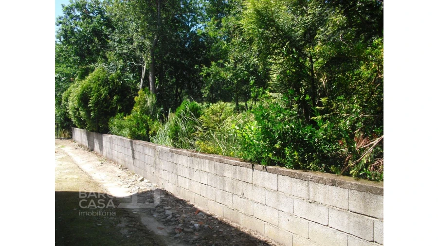 Terreno para Venda em Perelhal Foto 21