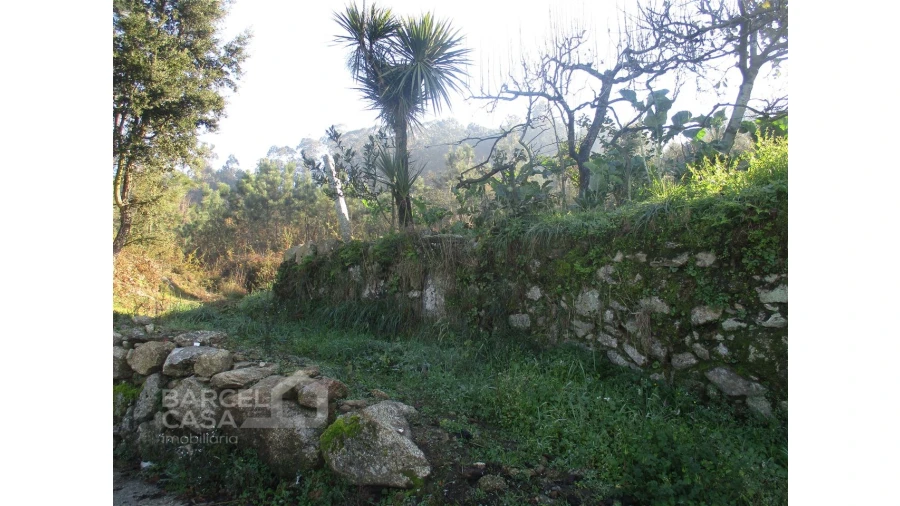 Terreno para Venda em Milhazes, Vilar de Figos e Faria Foto 7