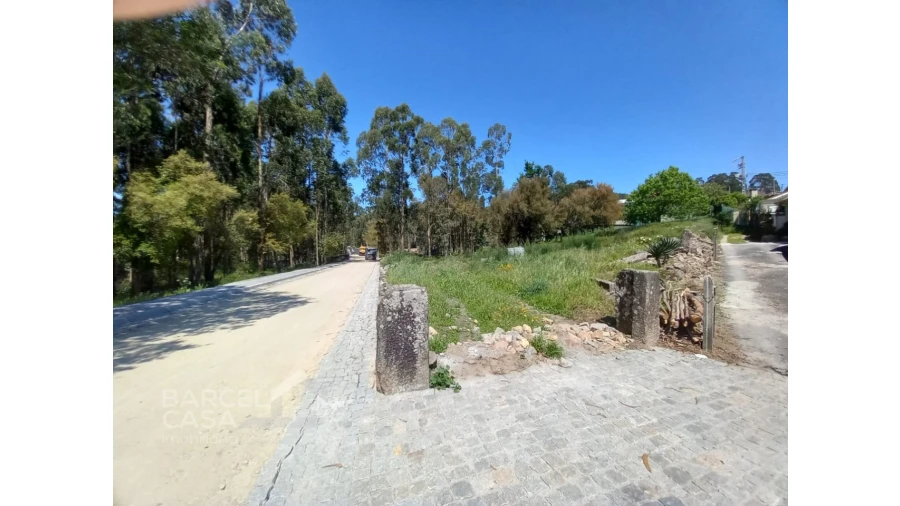 Terreno para Venda em Galegos (São Martinho) Foto 3
