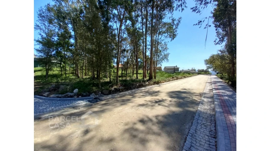 Terreno para Venda em Galegos (São Martinho) Foto 4