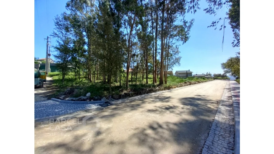 Terreno para Venda em Galegos (São Martinho) Foto 8