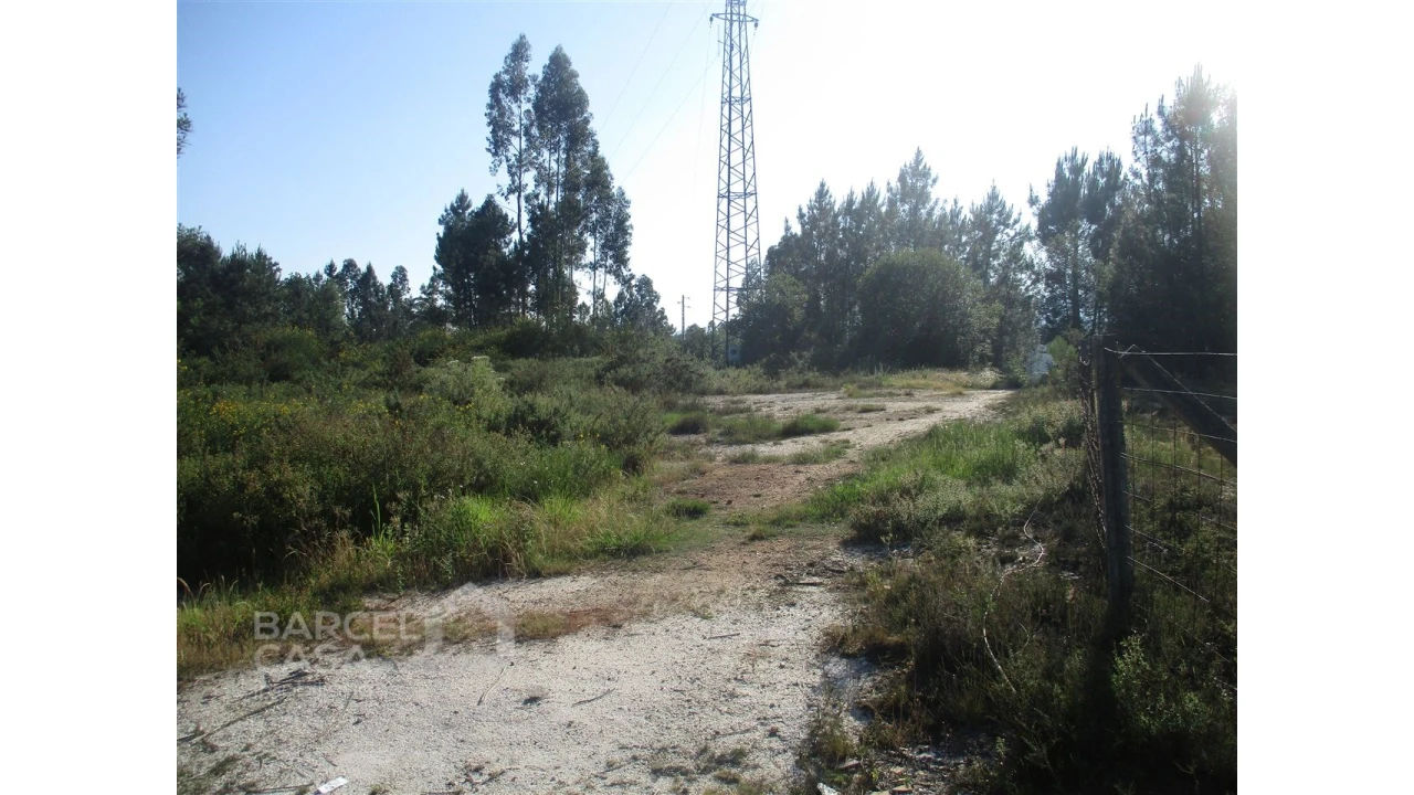 Terreno para Venda em Ucha Foto 3