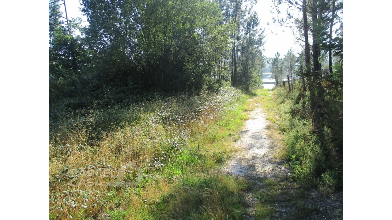 Terreno para Venda em Ucha Foto 4