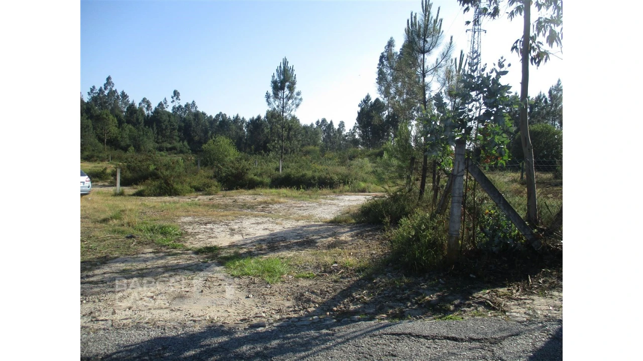 Terreno para Venda em Ucha Foto 7