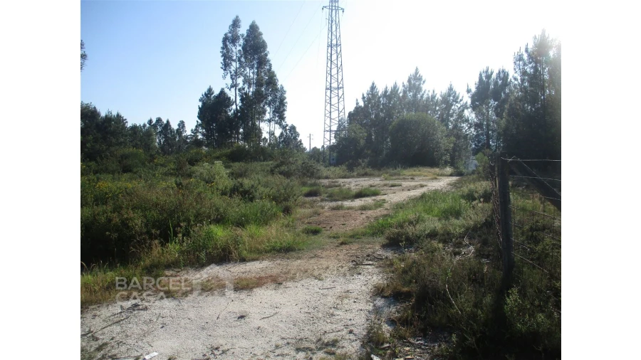 Terreno para Venda em Ucha Foto 3