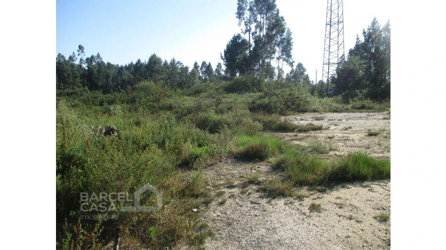 Terreno para Venda em Ucha Foto 6