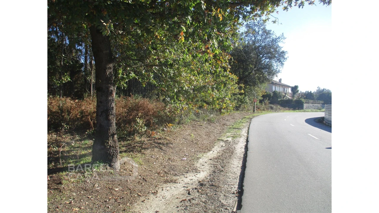 Terreno para Venda em Fragoso Foto 4