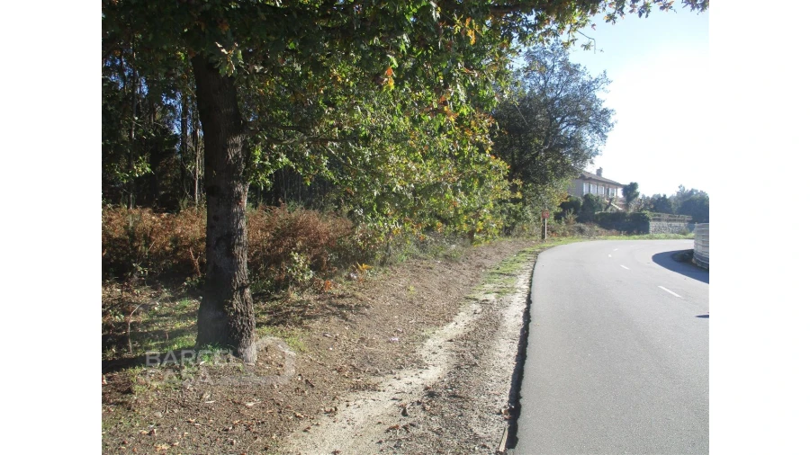 Terreno para Venda em Fragoso Foto 4