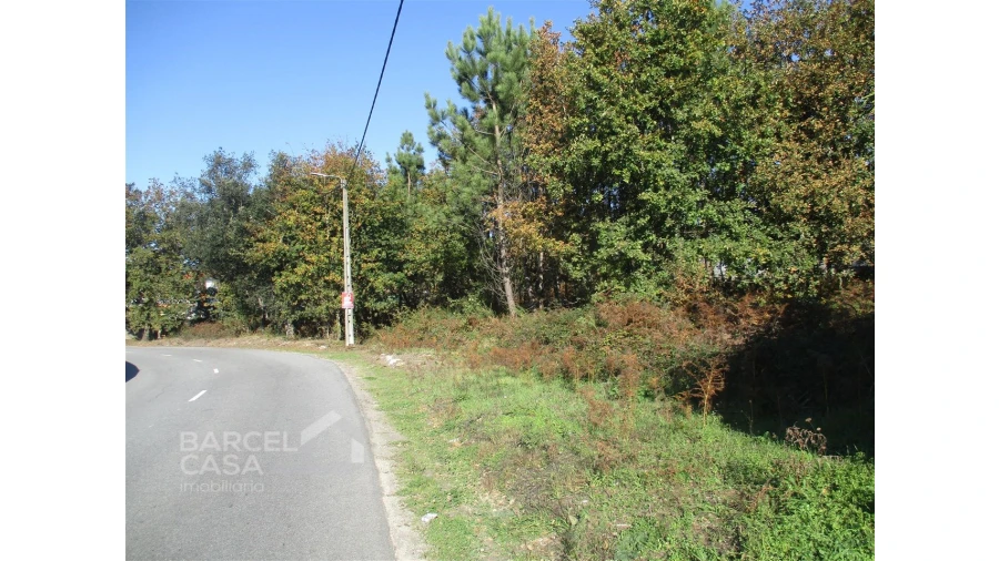 Terreno para Venda em Fragoso Foto 6