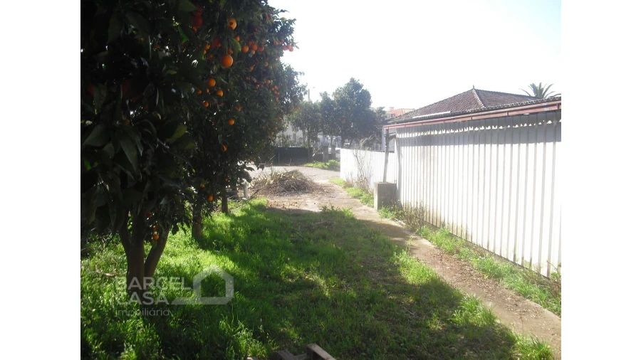 Terreno para Venda em Manhente Foto 2