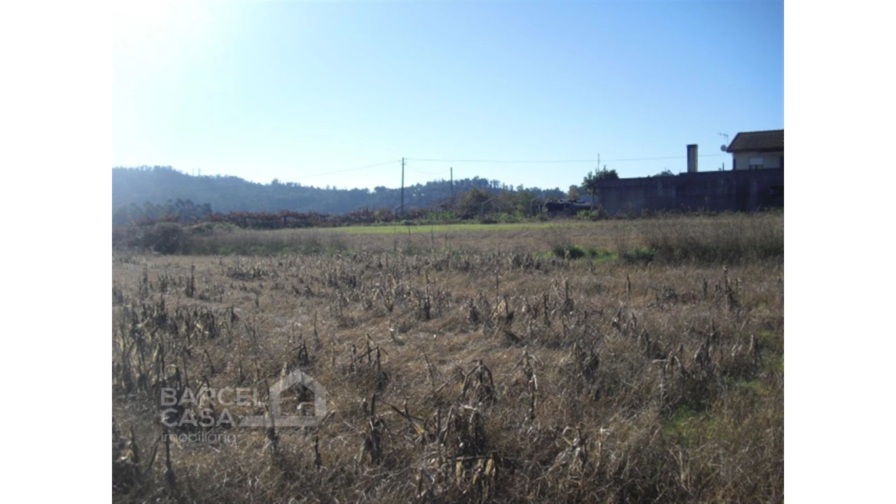 Terreno para Venda em Tamel (Santa Leocádia) e Vilar do Monte Foto 2