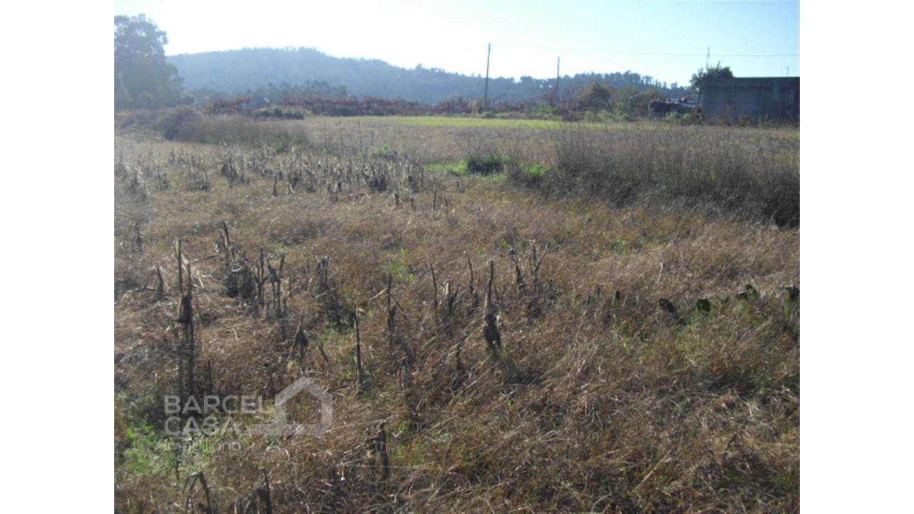 Terreno para Venda em Tamel (Santa Leocádia) e Vilar do Monte Foto 3