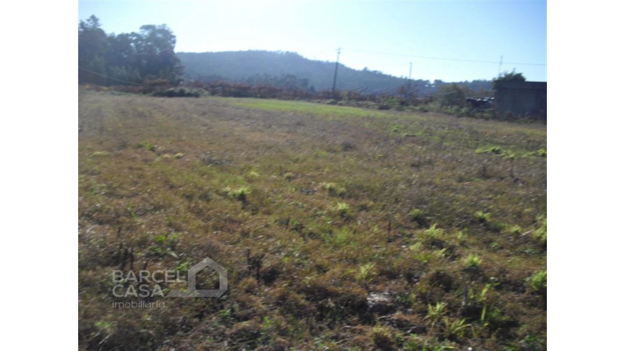 Terreno para Venda em Tamel (Santa Leocádia) e Vilar do Monte Foto 5