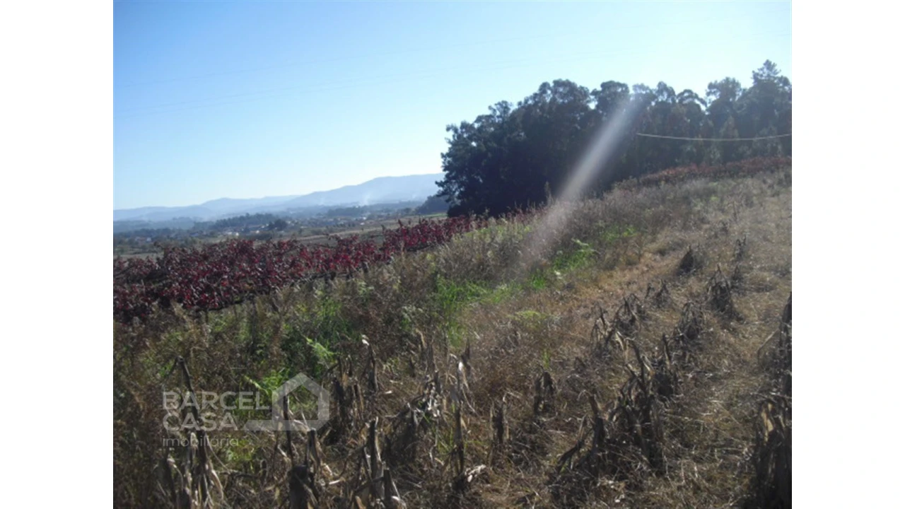 Terreno para Venda em Tamel (Santa Leocádia) e Vilar do Monte Foto 6