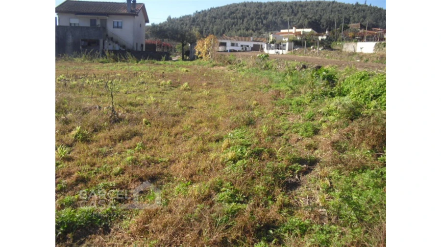 Terreno para Venda em Tamel (Santa Leocádia) e Vilar do Monte