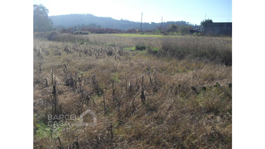 Terreno para Venda em Tamel (Santa Leocádia) e Vilar do Monte Foto 3