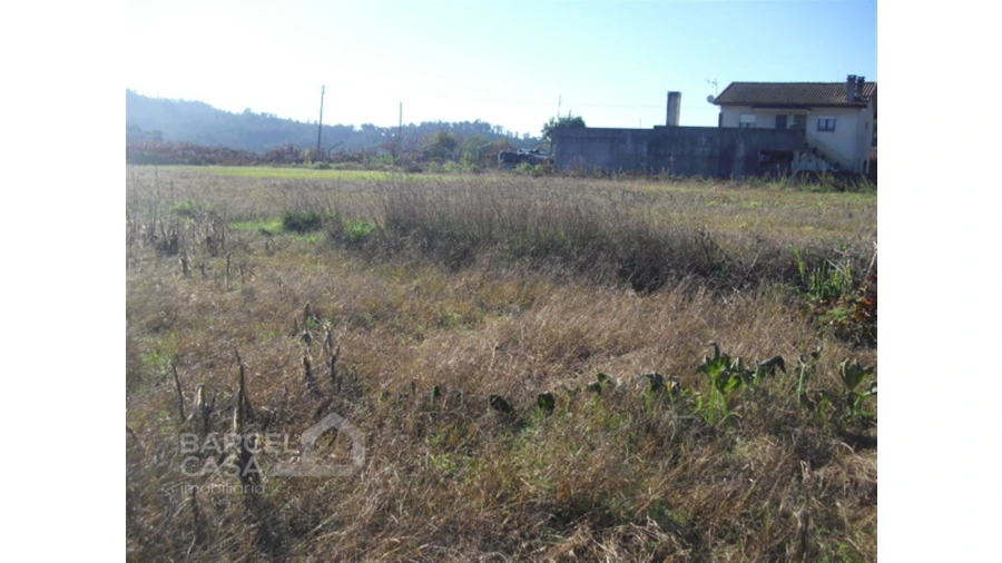 Terreno para Venda em Tamel (Santa Leocádia) e Vilar do Monte Foto 4