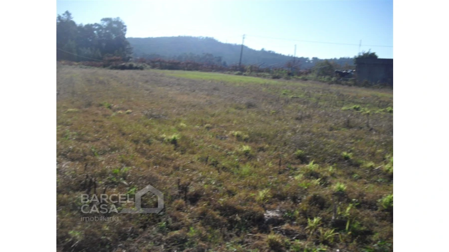 Terreno para Venda em Tamel (Santa Leocádia) e Vilar do Monte Foto 5