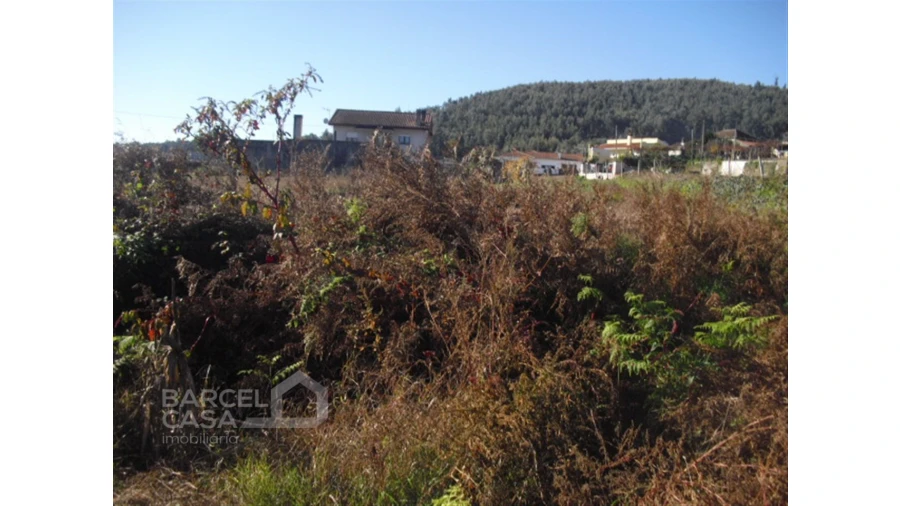 Terreno para Venda em Tamel (Santa Leocádia) e Vilar do Monte Foto 7