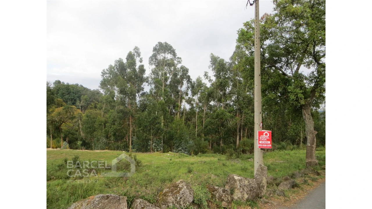 Terreno para Venda em Navió e Vitorino dos Piães Foto 1
