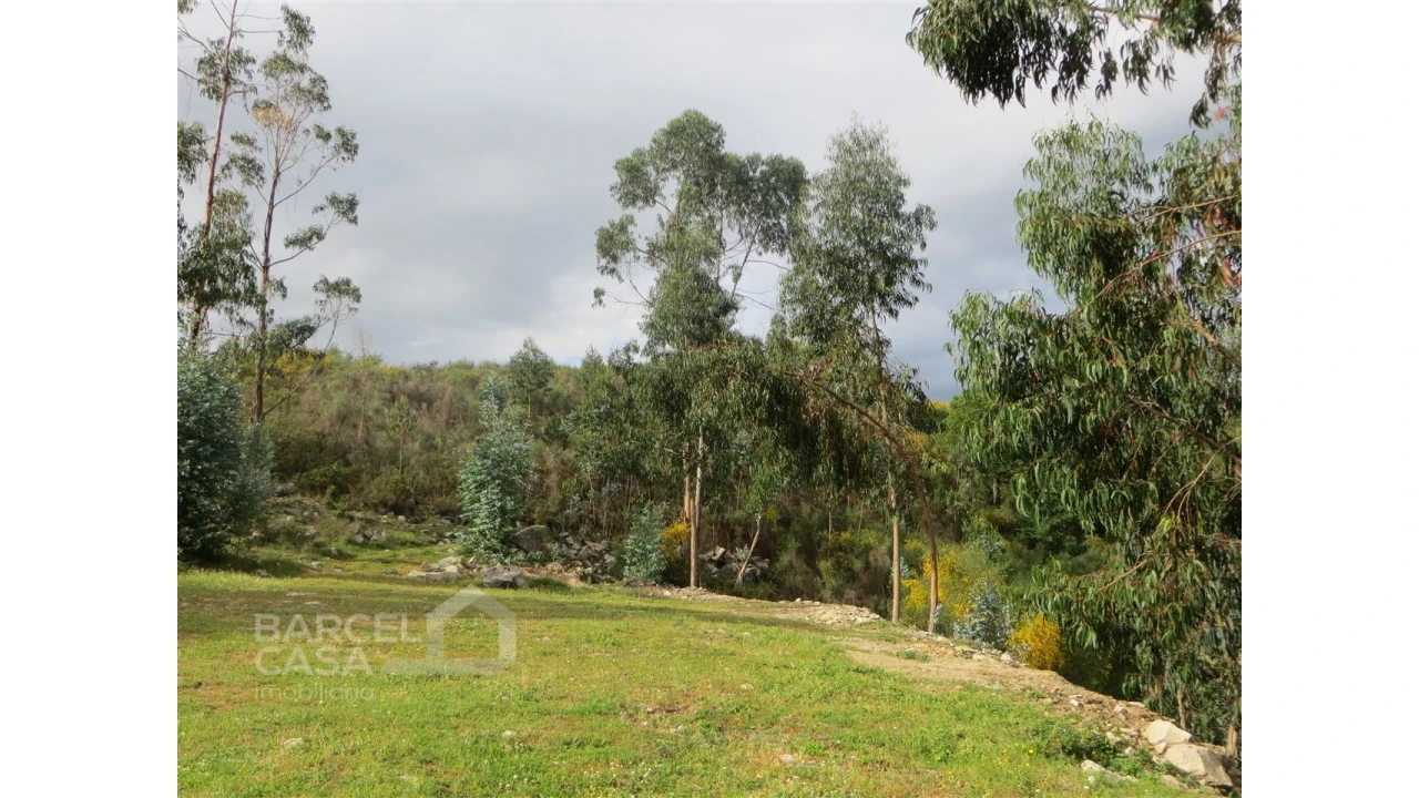 Terreno para Venda em Navió e Vitorino dos Piães Foto 3