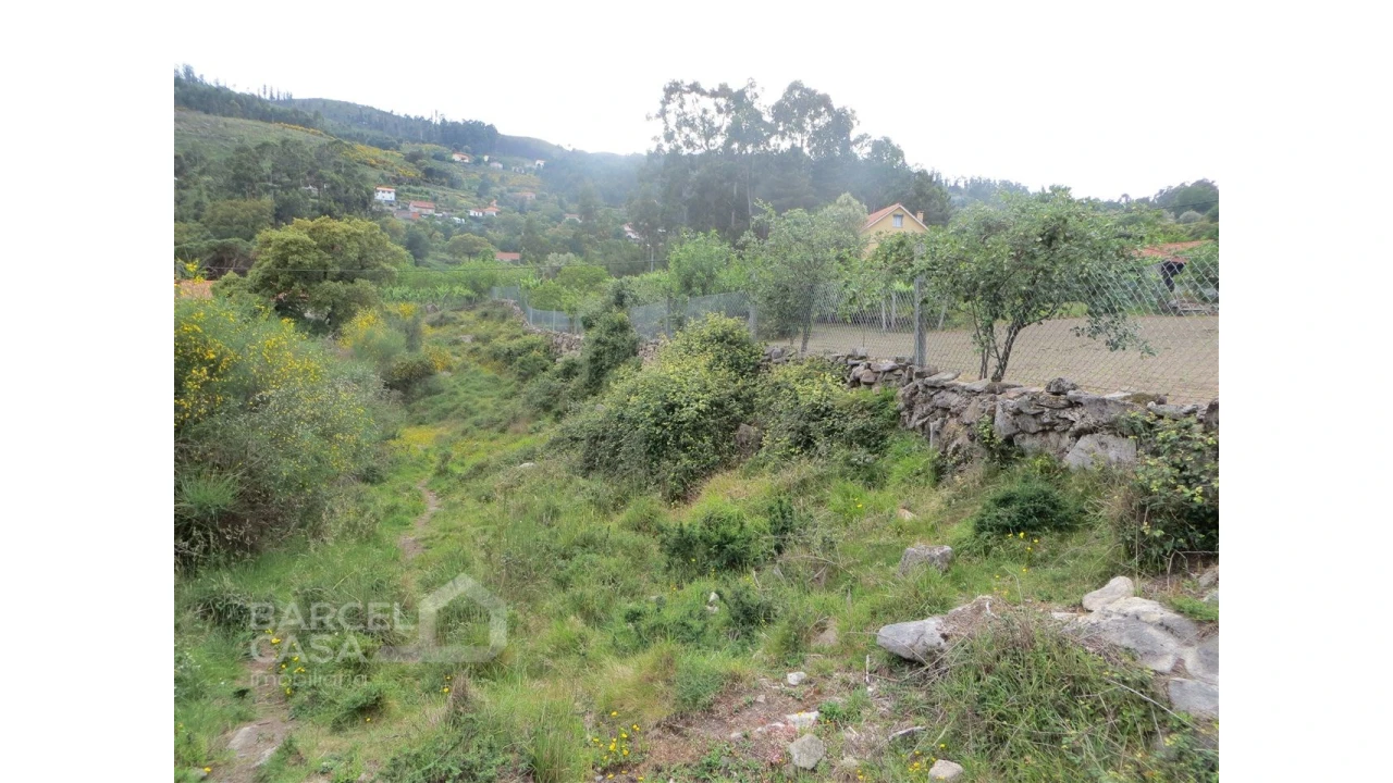 Terreno para Venda em Navió e Vitorino dos Piães Foto 5
