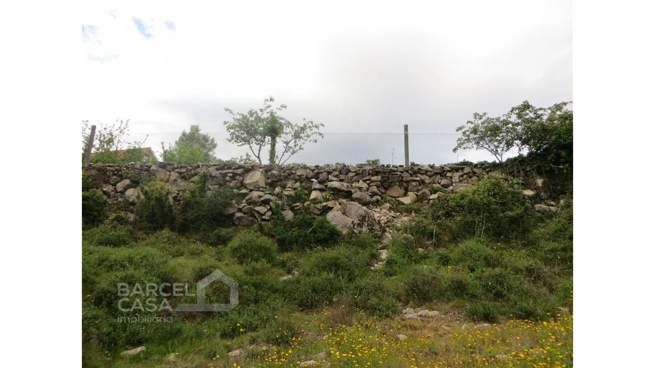 Terreno para Venda em Navió e Vitorino dos Piães Foto 8