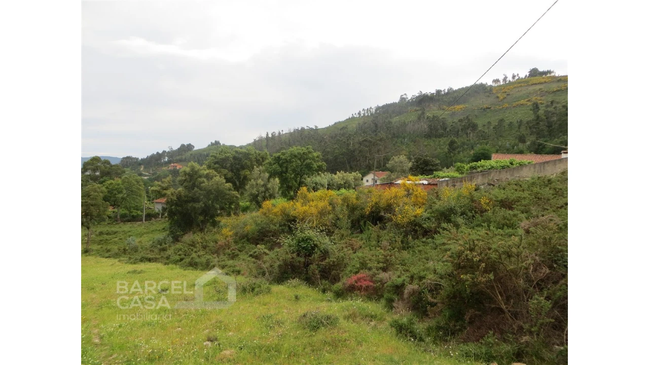 Terreno para Venda em Navió e Vitorino dos Piães Foto 9