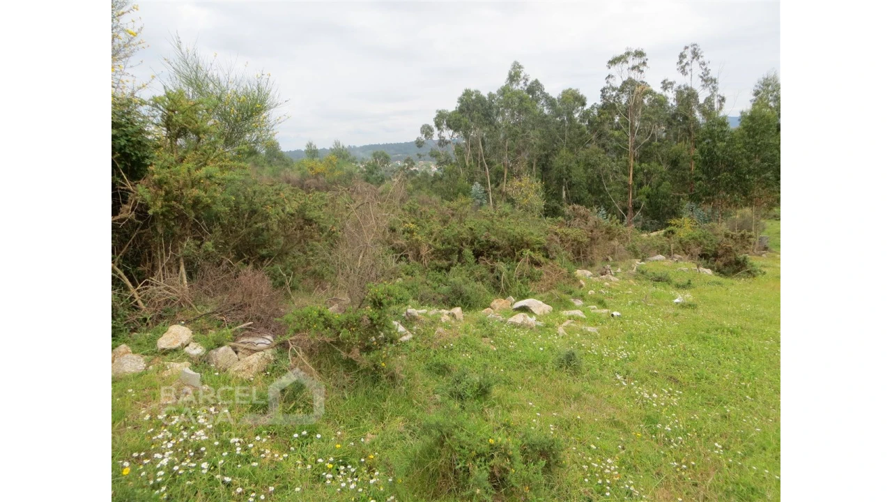 Terreno para Venda em Navió e Vitorino dos Piães Foto 10