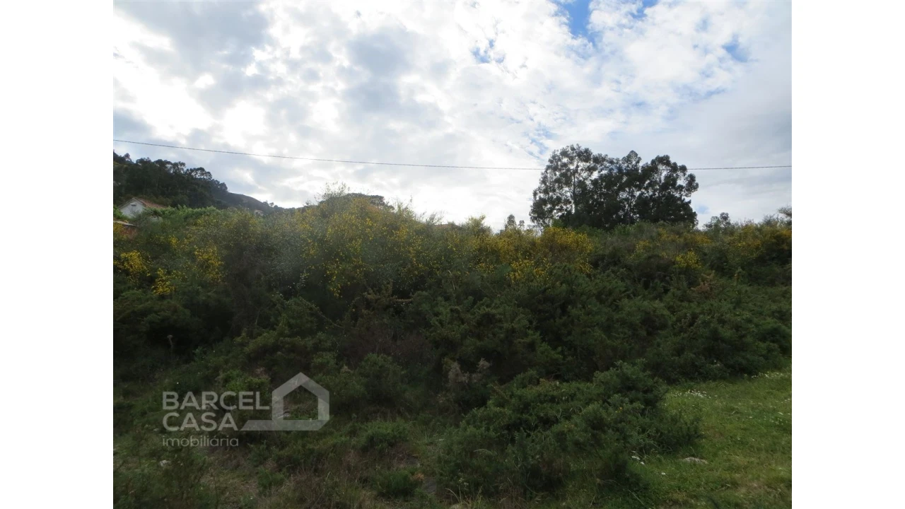 Terreno para Venda em Navió e Vitorino dos Piães Foto 11