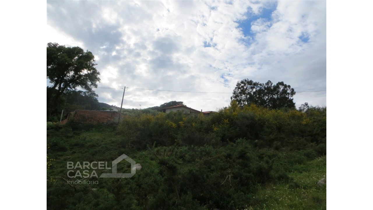 Terreno para Venda em Navió e Vitorino dos Piães Foto 14