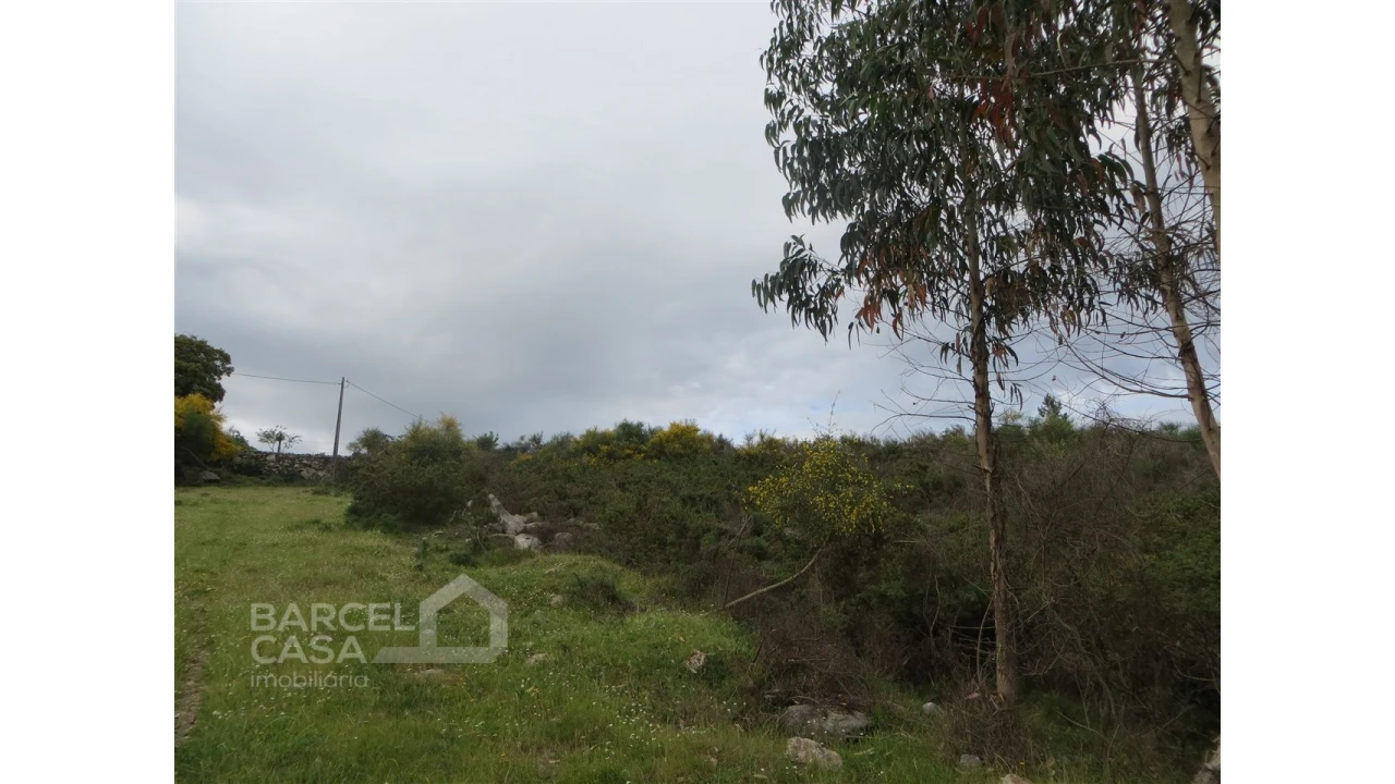 Terreno para Venda em Navió e Vitorino dos Piães Foto 15