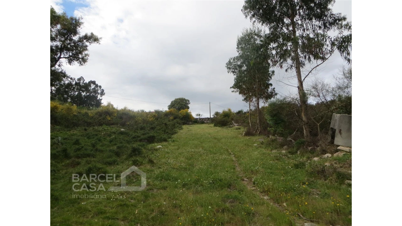 Terreno para Venda em Navió e Vitorino dos Piães Foto 16