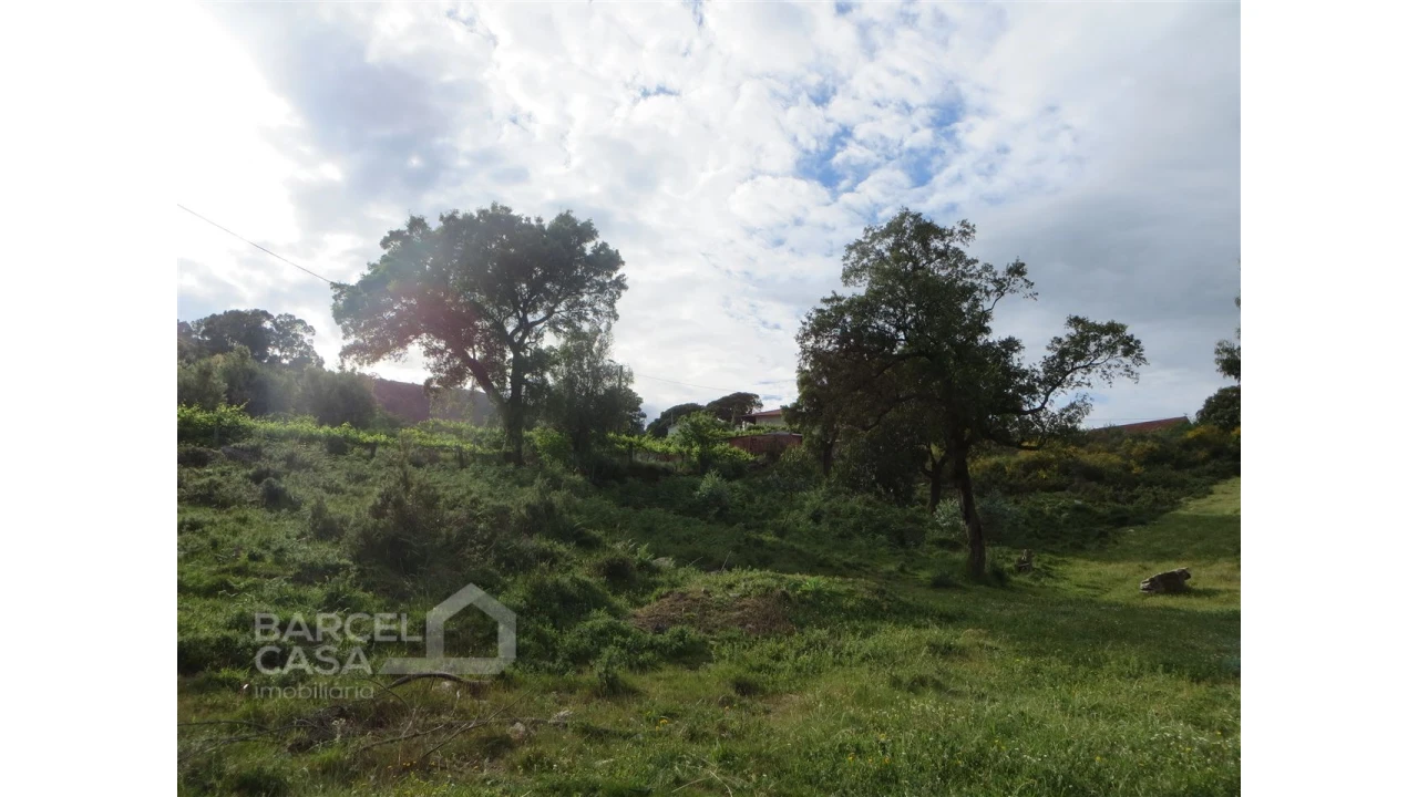 Terreno para Venda em Navió e Vitorino dos Piães Foto 17