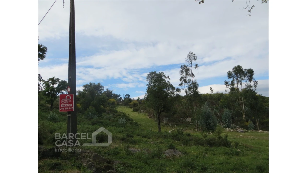Terreno para Venda em Navió e Vitorino dos Piães Foto 19