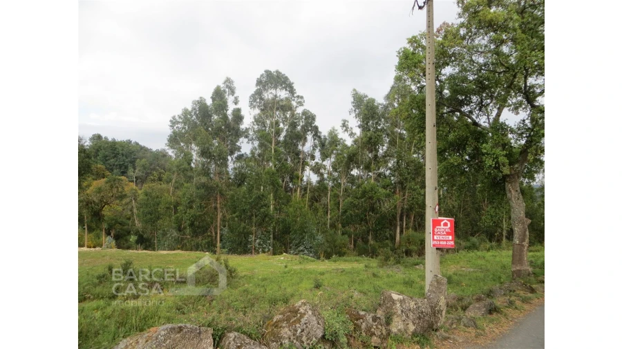 Terreno para Venda em Navió e Vitorino dos Piães Foto 1