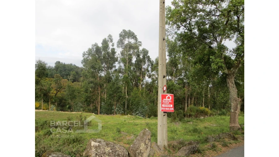 Terreno para Venda em Navió e Vitorino dos Piães Foto 2