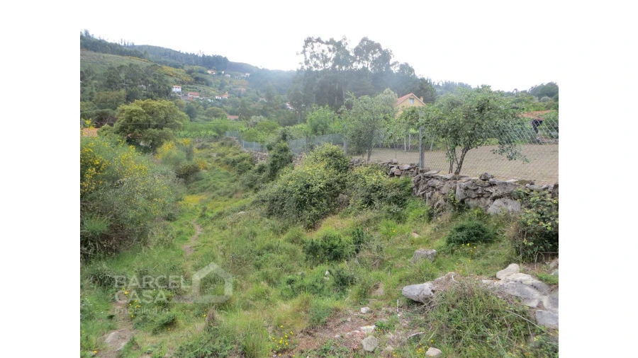 Terreno para Venda em Navió e Vitorino dos Piães Foto 5